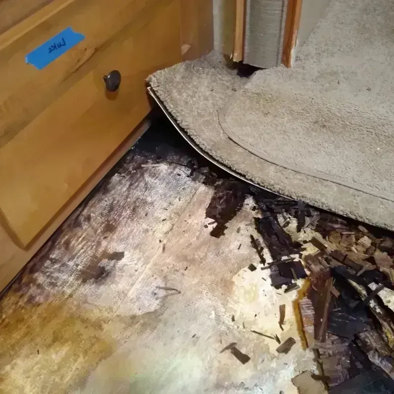 Wood Floor Water Damage in Round Lake Beach, IL